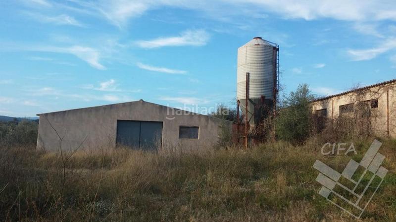 Foto 91b72bf6-ca52-4ac4-9782-fd5fcbf06cbe. Finca rústica a Sant Mateu