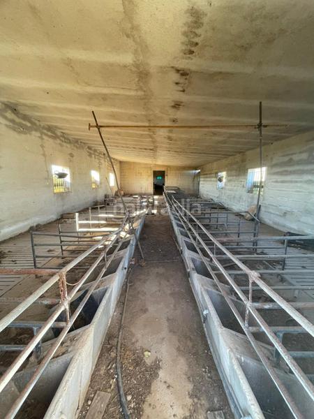 Foto 4b99992a-f1d1-427f-8912-0c7444d7abef. Propriété dans Partidas de Interior - Zona Rústica Vinaròs