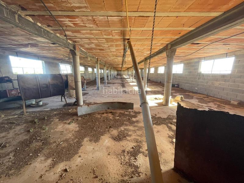 Foto edbee3e0-1187-48f7-9f0b-93e28cd3f7fc. Propriété dans Partidas de Interior - Zona Rústica Vinaròs