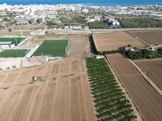 Finca rústica  56 parcela 99 vistabella. Oportunidad única! parcela rústica en venta en plena producción