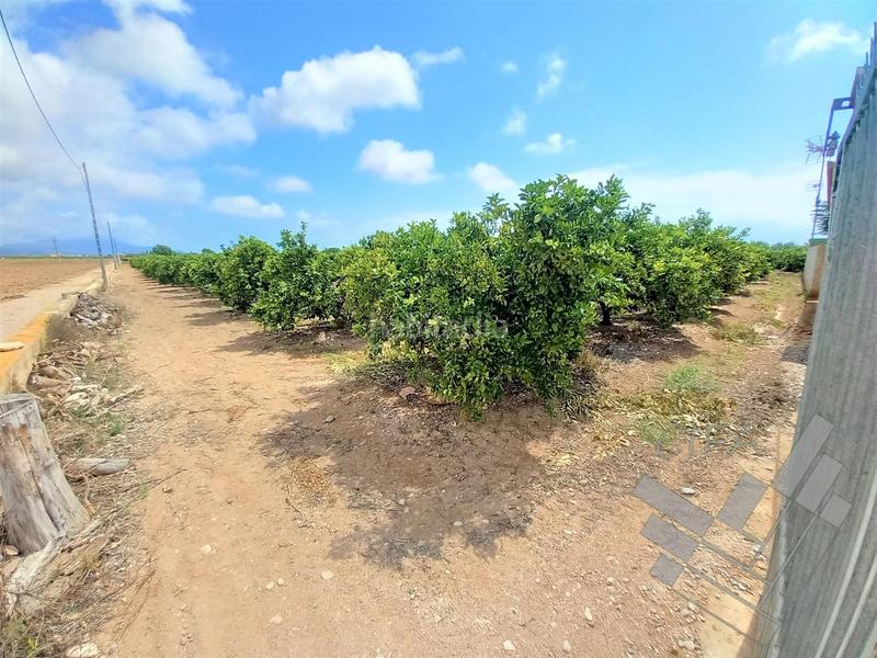 Foto 8953148f-8a11-4a83-a3e4-4a1b00447730. Chalet con parcheggio in Casco Urbano Vinaròs