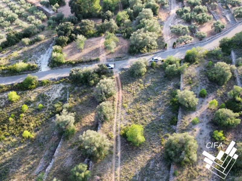 Foto 4e23669c-084b-4aa8-9cd4-24b1128e864a. Finca rústica a San Jorge