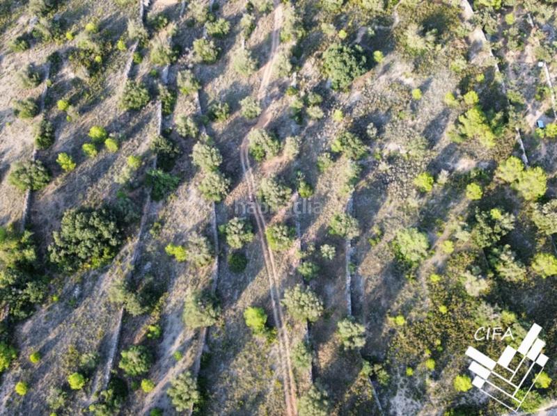 Foto 4f5e130a-1db0-41bf-98fd-194d9a1e7de6. Finca rústica a San Jorge