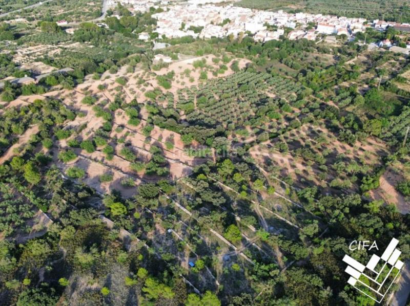 Foto 634fb56c-26f7-4322-b1bc-db81ad6e69f1. Finca rústica a San Jorge