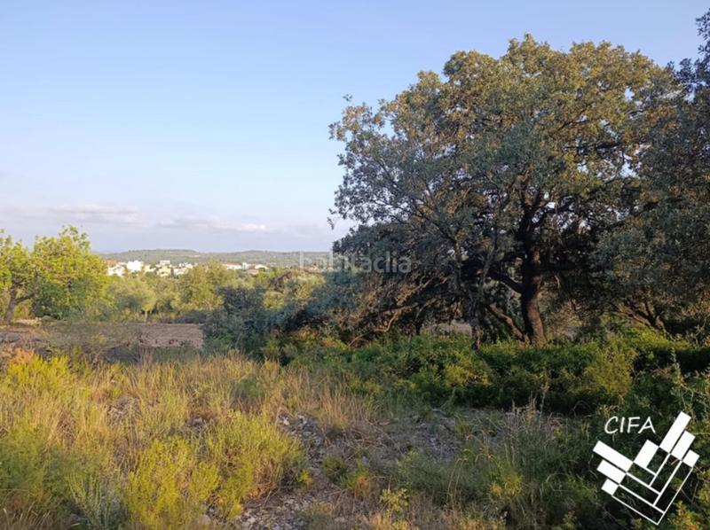 Foto 6714b471-b119-48f3-815f-4c6a11510bc1. Finca rústica a San Jorge