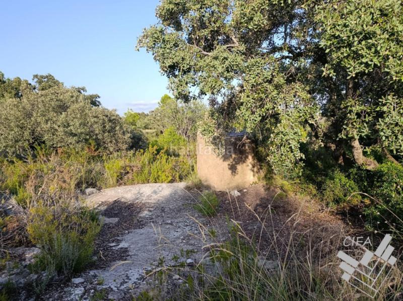 Foto 6a353bf4-005f-40a2-8217-5714a596f1ff. Finca rústica a San Jorge