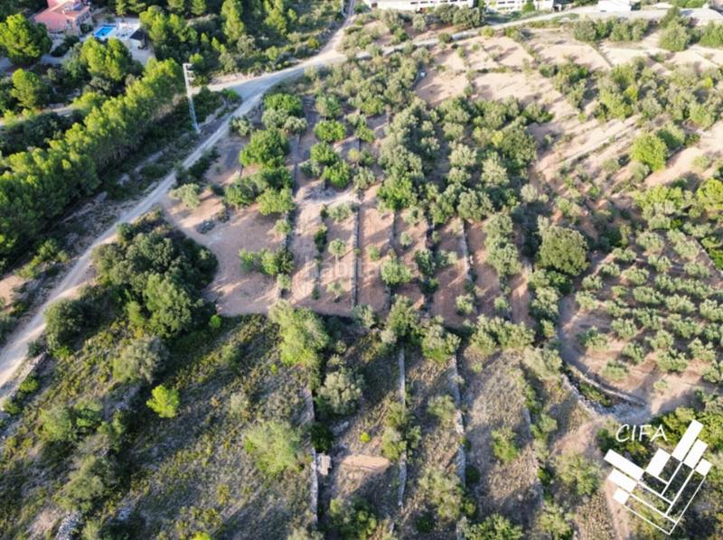 Foto c6347f4a-8b73-42cc-bcc4-2cc33e98e047. Finca rústica a San Jorge