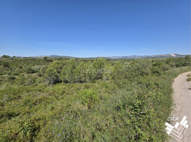 Foto 42b44648-6afd-48b2-a7a4-73b6a4a05ec7. Finca rústica a Sant Mateu