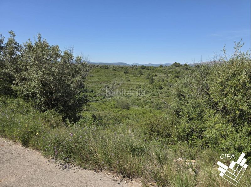 Foto 5e59ad11-16c3-4fcc-a0ce-63e57616551d. Finca rústica a Sant Mateu