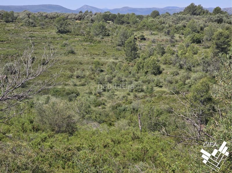 Foto c0390f53-2312-4221-821f-1b1a4842ca10. Finca rústica a Sant Mateu