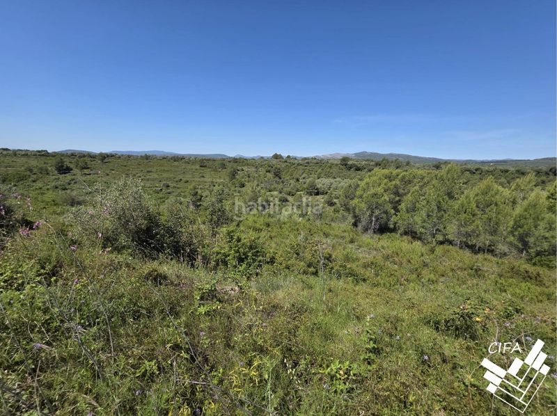 Foto c80e8622-c895-4612-9d7a-33b3d18ee856. Finca rústica a Sant Mateu