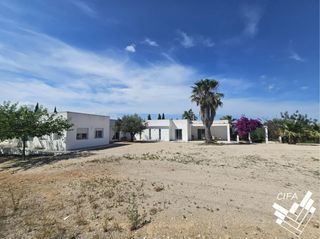 Chalet  Polígono poligono 5. Finca en venta con 27.070 m2 de parcela y licencia para proyecto