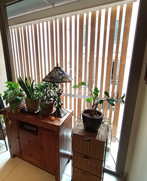 Foto 8b269059-abdd-4806-99cf-6dc8f883af2b. Casa amb aparcament piscina a Centre Mataró