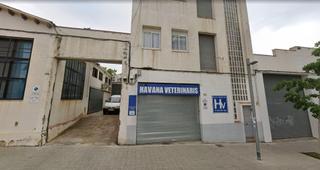 Lloguer Local Comercial a El Palau - Escorxador. Local con múltiples posibilidades y ubicación estratégica