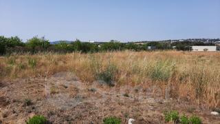 Solar industrial a Franqueses del Vallès (Les)