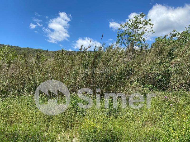 Foto 5d3921b0-a8b6-45a7-8ecf-768d30de9fc7. Terrain industriel dans Dosrius poble Dosrius