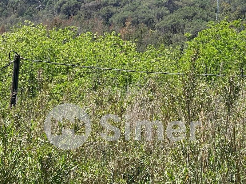Foto d700c599-15bc-4ebd-ae1e-17f31fe7bd55. Terrain industriel dans Dosrius poble Dosrius