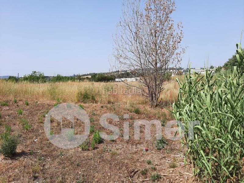 Foto 9d818a25-a231-4fed-8a02-84b402f8c100. Solar industrial a Franqueses del Vallès (Les)