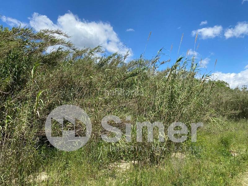 Foto cf0db546-80f5-442d-b3ab-ce97a03382dc. Gewerbliches grundstück in Dosrius poble Dosrius