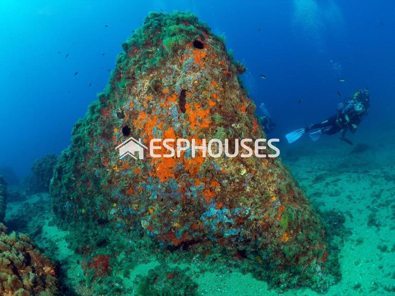 Foto ffe28c63-1239-4dd4-88f2-7c60331b1575. Planta baixa amb aparcament piscina a Isla del Fraile Águilas