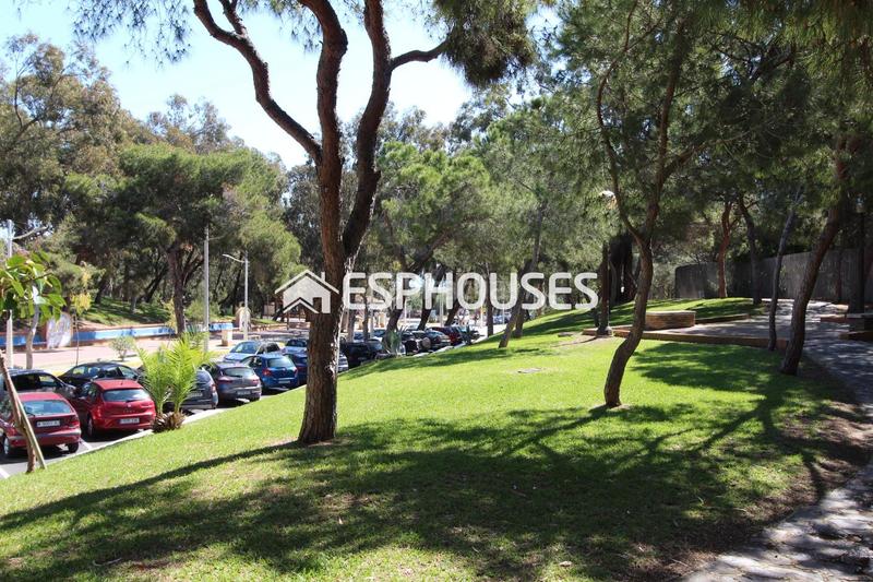 Foto 43bbc68d-6e0e-49de-92dd-f55da87fd349. Local comercial a Pueblo Guardamar del Segura