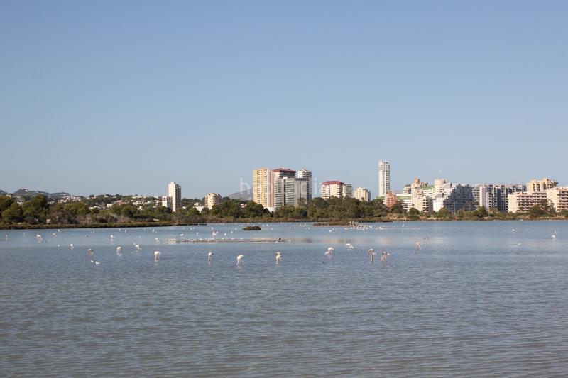Foto c87a9ec4-8280-46c8-988a-123bebc57983. Pis a Playa Arenal - Bol Calp
