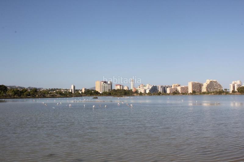 Foto df1fd377-1c9a-42ab-9f53-5ea6972dbc15. Pis a Playa Arenal - Bol Calp