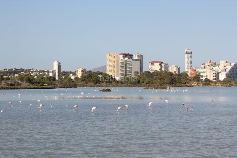 Foto 726fef4d-aa50-45a1-8dc6-225e4343b7ea. House in Maryvilla Calp