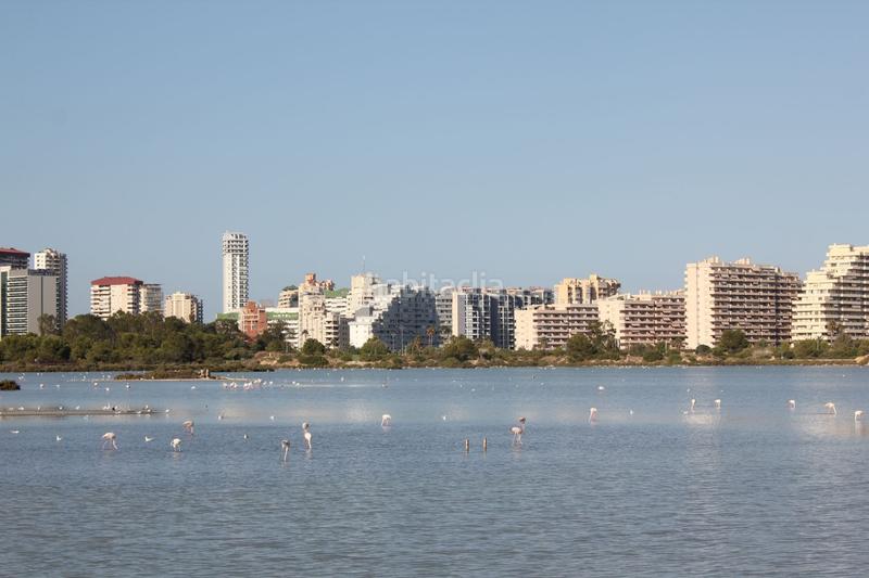 Foto 6417e203-0dae-4ff4-9c77-f87909670050. Appartamento con piscina in Pueblo Calp