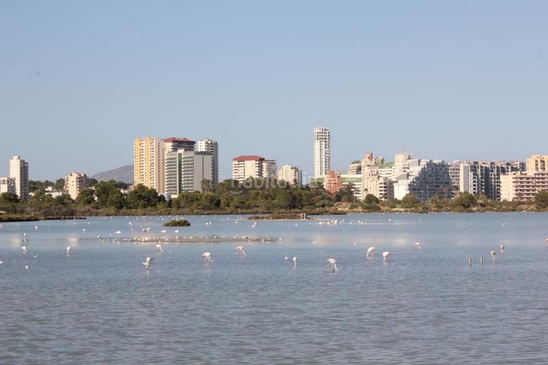 Foto 7ddbd70c-a860-4b76-82ee-7271a86922e2. Appartamento con piscina in Pueblo Calp