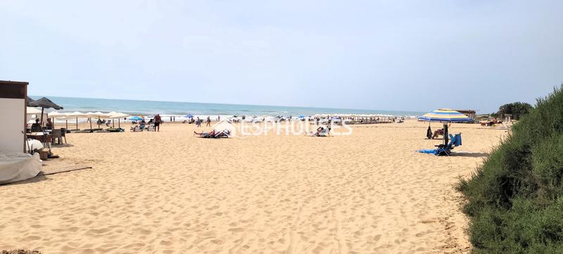 Foto f7c58a7f-6574-4cab-818c-cf5240c14c86. Àtic a Guardamar Playa Guardamar del Segura