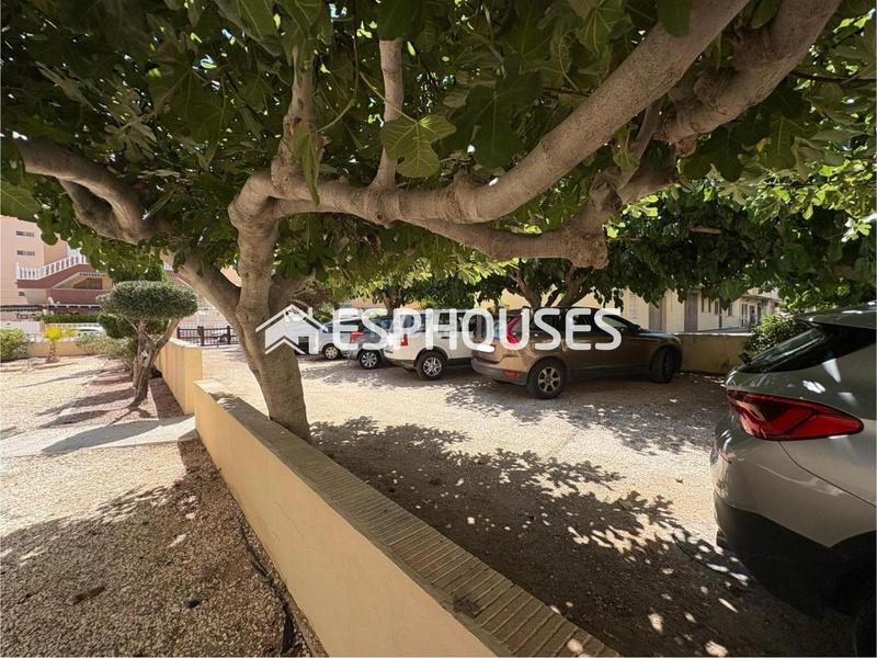 Foto 8cb299f0-dea3-4748-af5d-c0f64583b6cc. Appartement mit parking in Los Europeos Torrevieja