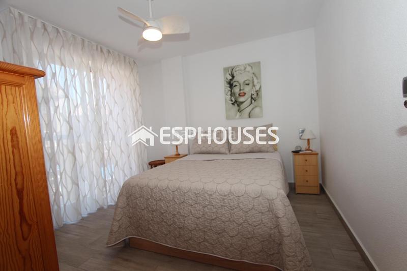Foto d3b63dc9-9d8b-445a-abc6-a42be22ecad1. Piccolo appartamento con parcheggio in Guardamar Playa Guardamar del Segura
