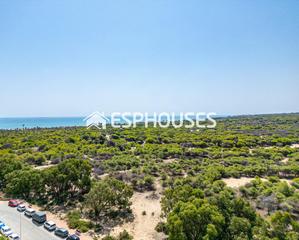 Àtic a Puerto Deportivo. Exclusivo ático con impresionantes vistas al mar y al parque alf