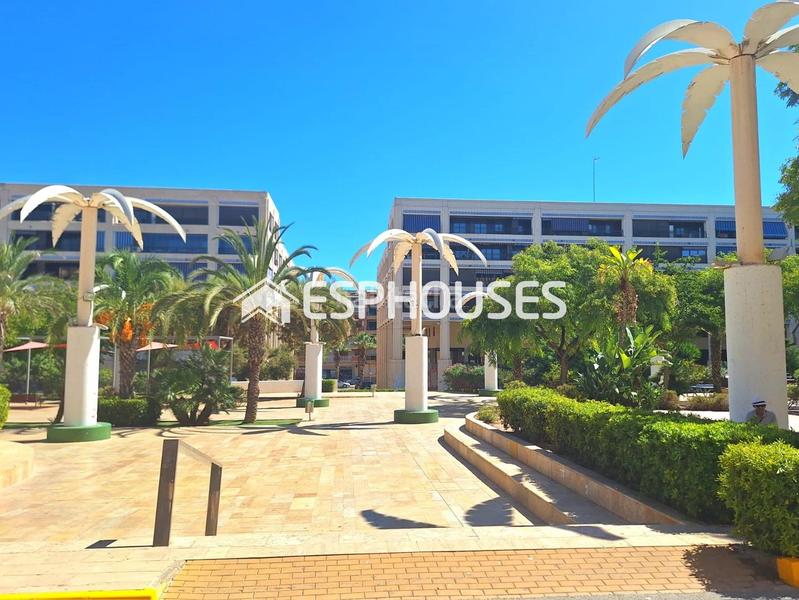 Foto a94a0f04-a4b0-4383-957b-c36b2d2e4155. Apartament amb calefacció aparcament a Pueblo Guardamar del Segura