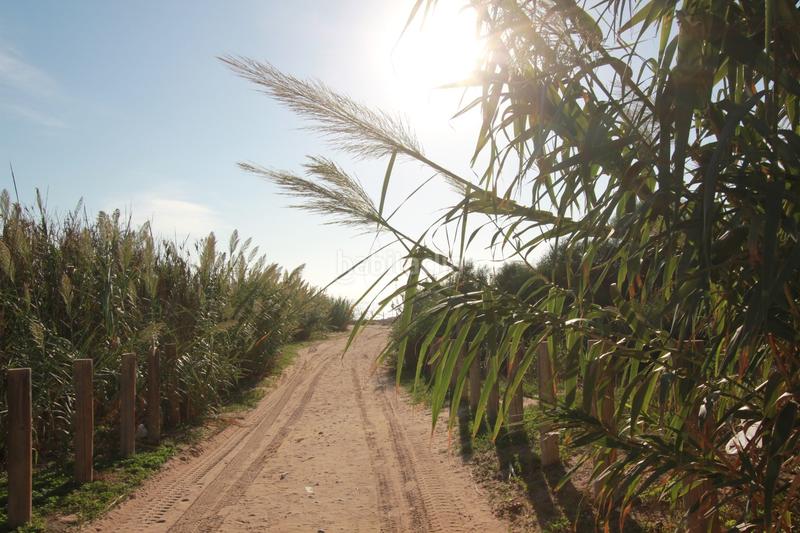 Foto f290c7e5-d3e2-4f21-a707-42c9046658d7. Appartement in Guardamar Playa Guardamar del Segura