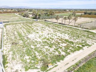Terreny residencial a La Foia - Daimés - Asprella