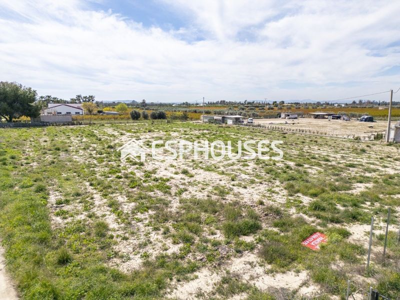 Foto 84a37100-9ed8-4426-aac5-da394b4da6d3. Terreny residencial a La Foia - Daimés - Asprella Elche / Elx