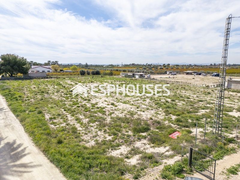 Foto bc2ab5b1-3349-46c0-b4ca-0ea1ecb0a2c2. Terreny residencial a La Foia - Daimés - Asprella Elche / Elx