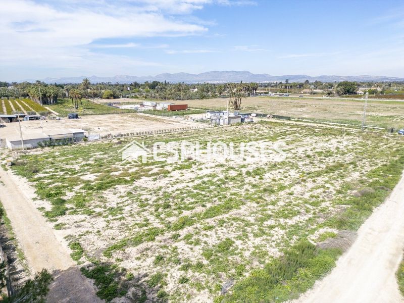 Foto d66fe4f6-7859-454b-a643-08a1fef8ddc5. Terreny residencial a La Foia - Daimés - Asprella Elche / Elx