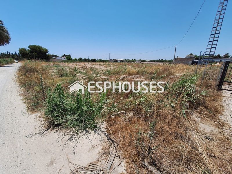 Foto f6552531-30ca-45a2-a4d3-4f5954039f9b. Terreny residencial a La Foia - Daimés - Asprella Elche / Elx