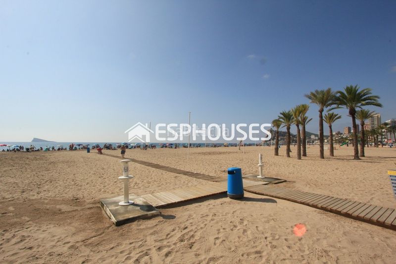 Foto 78ba88c8-8791-4b5b-b60e-fee665f7e2a3. Estudi amb piscina a Levante Alto Benidorm