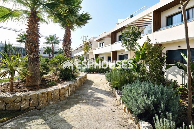 Foto e92e283d-4d8d-496d-9a1b-eea0a6a24bc8. Casa amb piscina a El Acequión Torrevieja