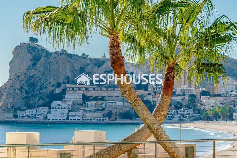 Foto df42bf1d-b316-4568-a3d7-3d5506908f50. Apartament amb calefacció piscina a Playa Poniente Benidorm