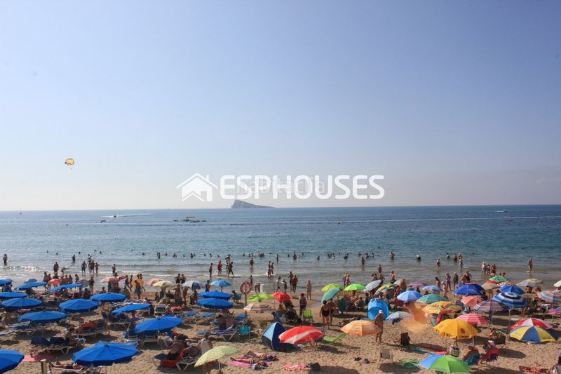 Foto 63373434-f06b-4e16-ab26-5e3e6c5360cb. Casa amb calefacció a Playa Poniente Benidorm