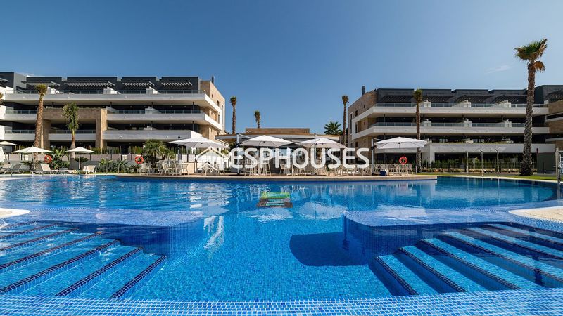 Foto 1983ea0e-b1cc-404f-9655-c0aaf2db9ce3. Planta baixa amb piscina a Playa Flamenca Orihuela