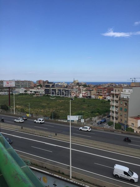 Foto c8c98e17-29da-4185-bd38-3e991d419aab. Pis a Sant Crist Badalona