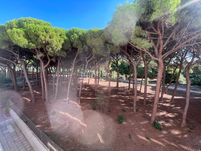 Foto 2c45422b-c633-4bf5-8c86-6b4a8c58f314. Flat with heating parking pool in Regueral - Prat d'en Forés Cambrils