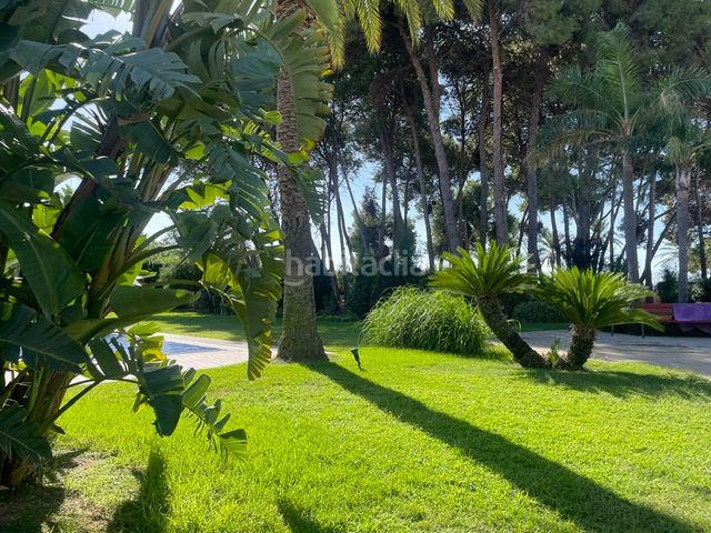 Foto 567d3073-aaf9-4e72-9968-0ce943cf4bf7. Flat with heating parking pool in Regueral - Prat d'en Forés Cambrils