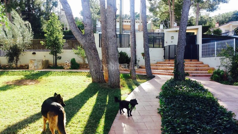 Foto 6a2dc296-a5a9-43c3-bda0-43905ce8537b. Xalet amb calefacció aparcament a Picassent